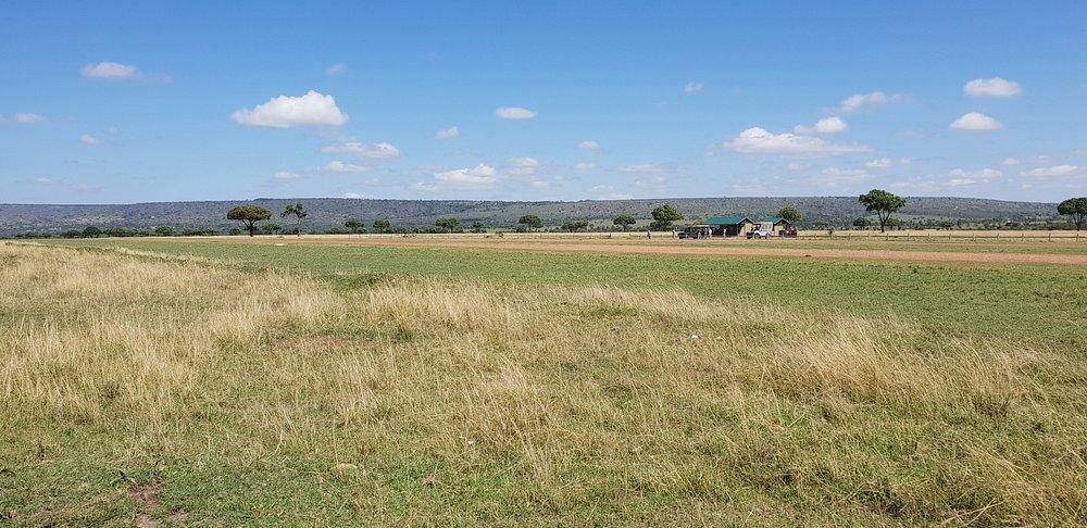 Royal Zebra River Safari Lodge
