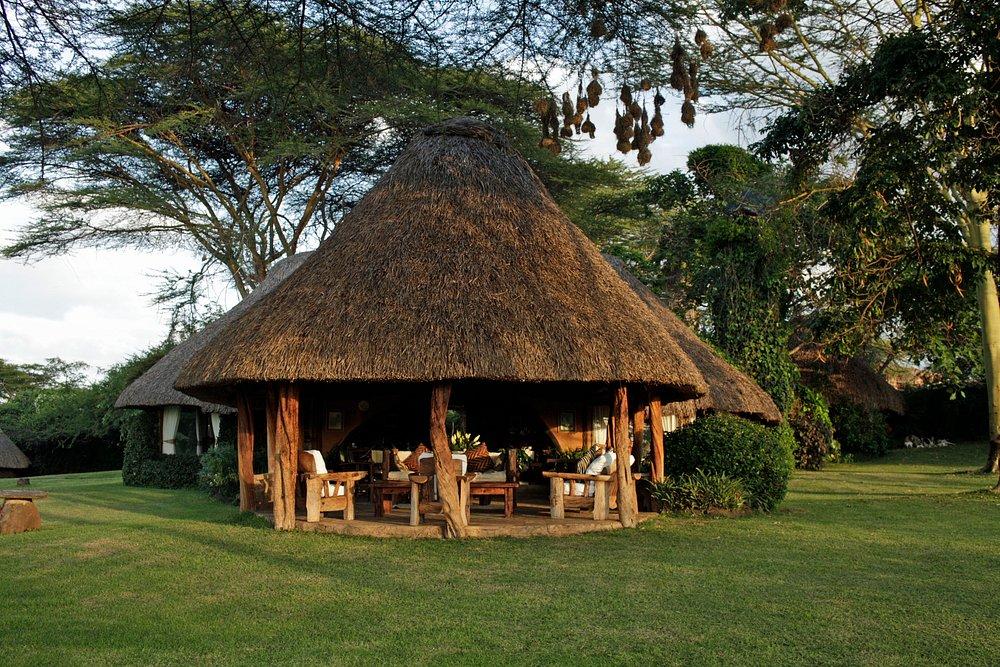Lewa House