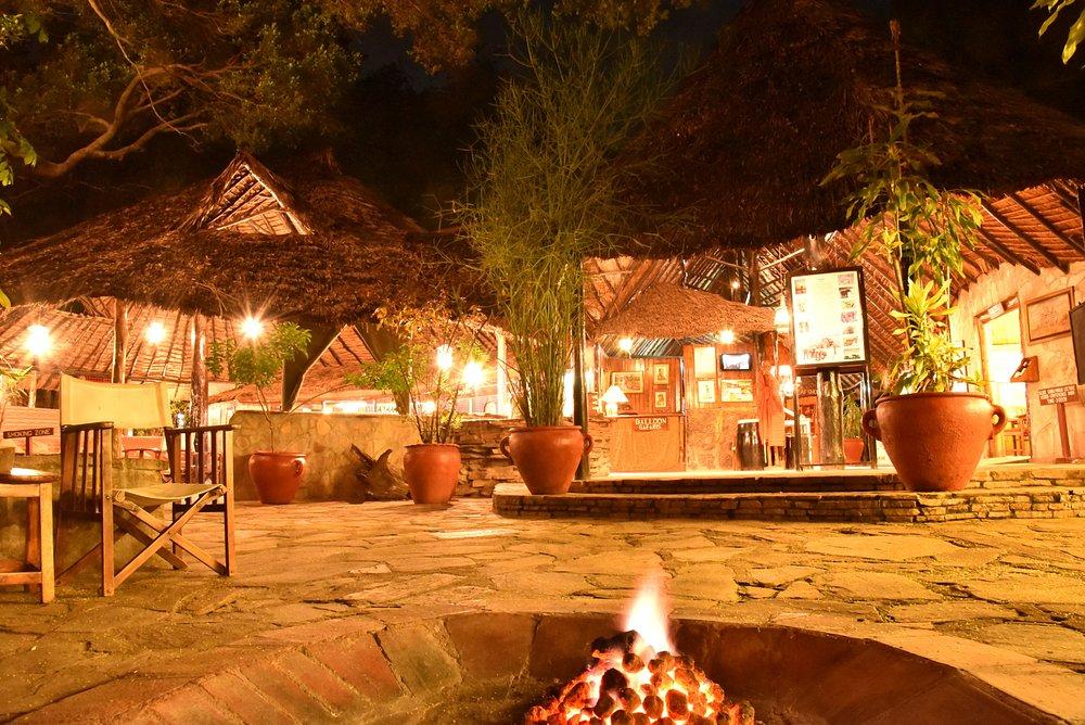 Fig Tree Camp