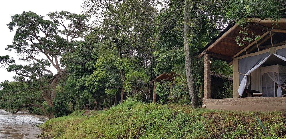 Fig Tree Camp
