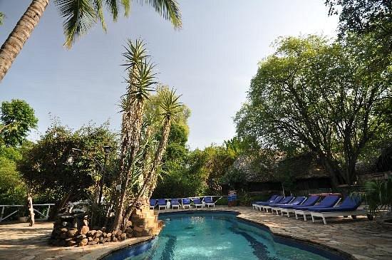 Fig Tree Camp