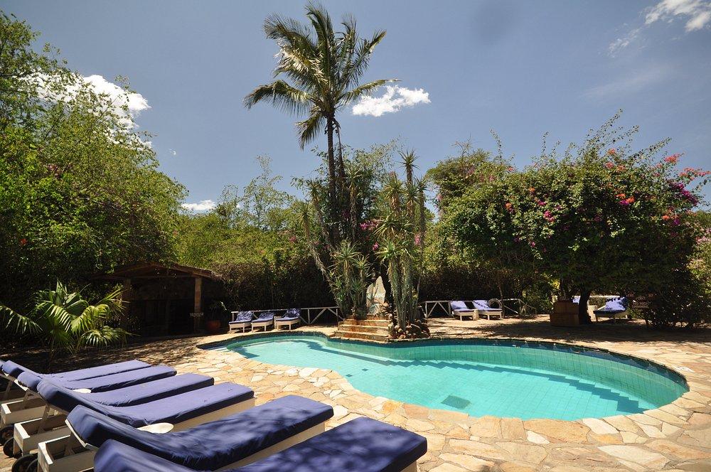 Fig Tree Camp