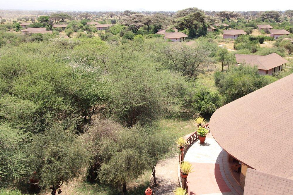 Kilima Safari Camp