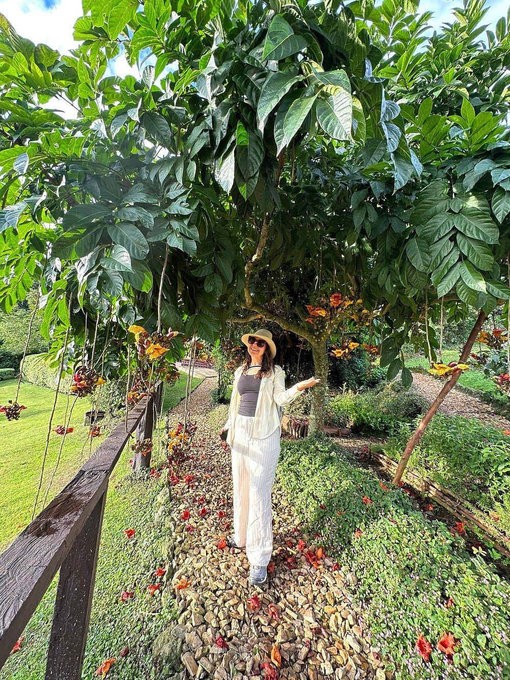 Chimpanzee Forest Guest House