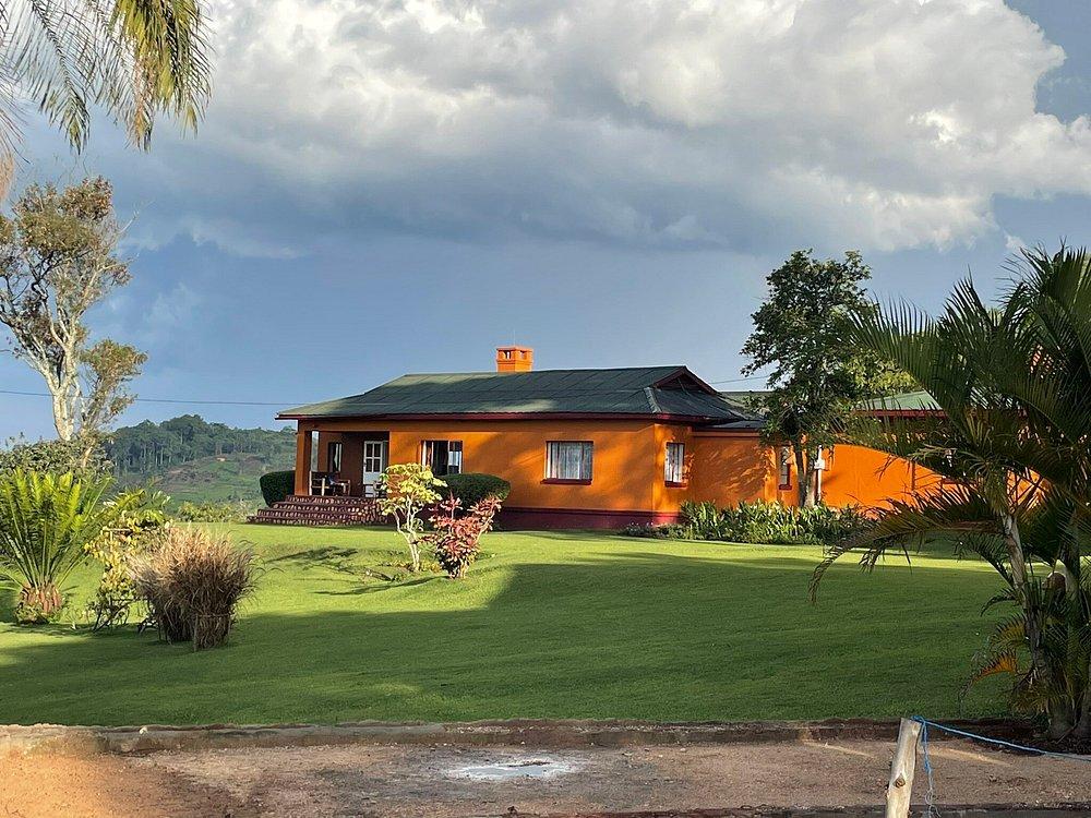 Chimpanzee Forest Guest House