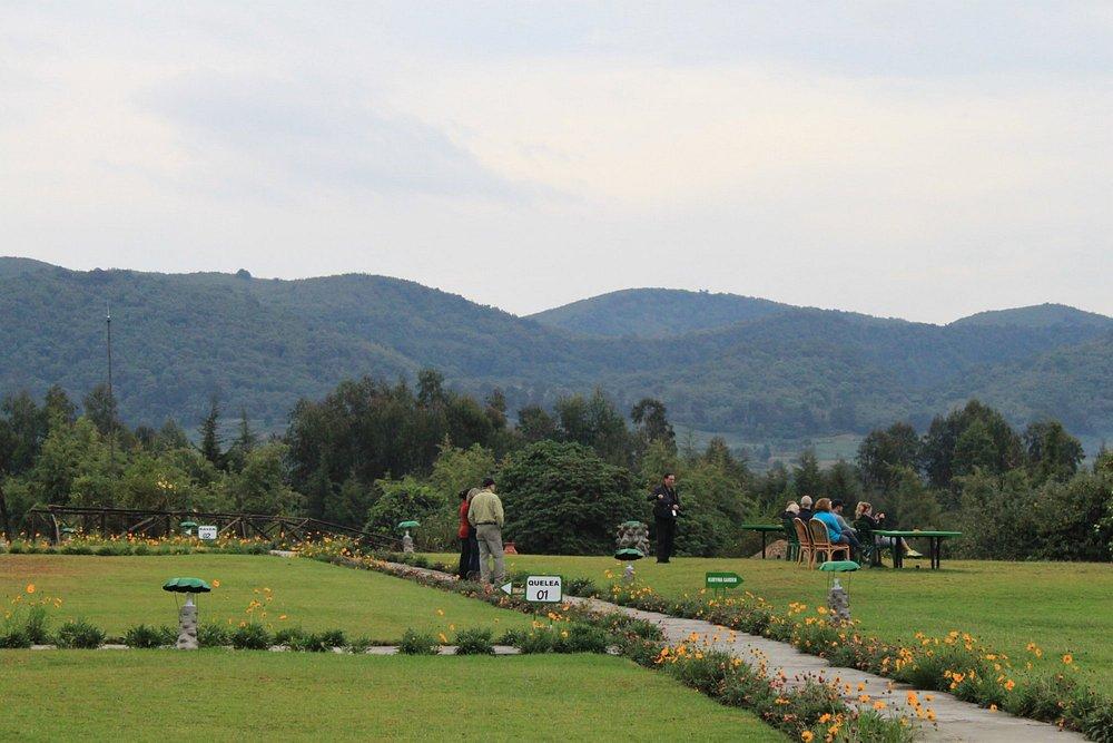 Mountain Gorilla View Lodge