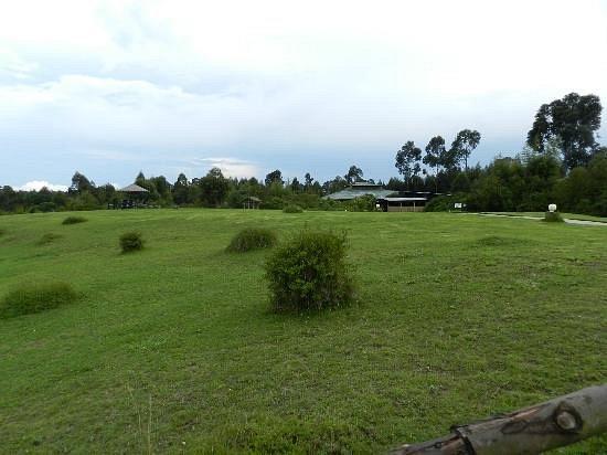 Mountain Gorilla View Lodge