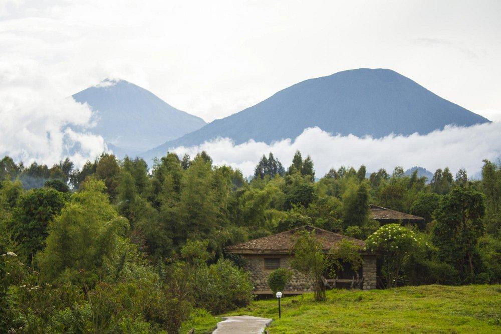 Mountain Gorilla View Lodge