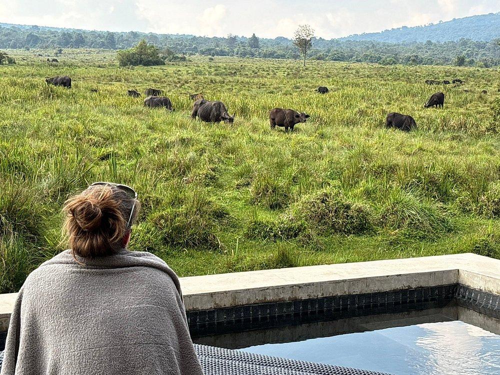 Singita Kwitonda Lodge