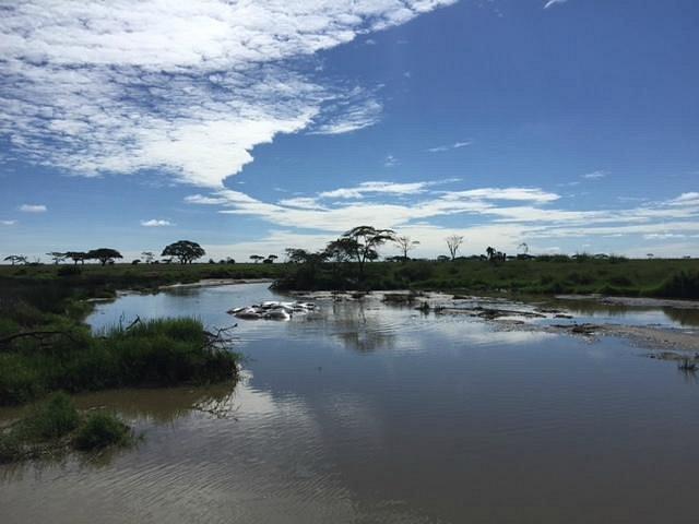 Four Seasons Safari Lodge Serengeti