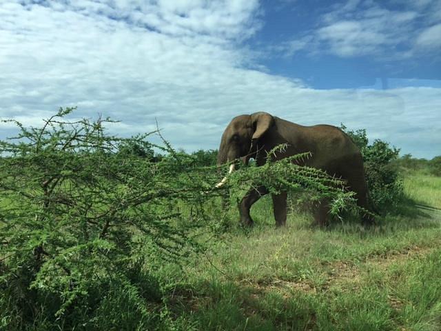 Four Seasons Safari Lodge Serengeti