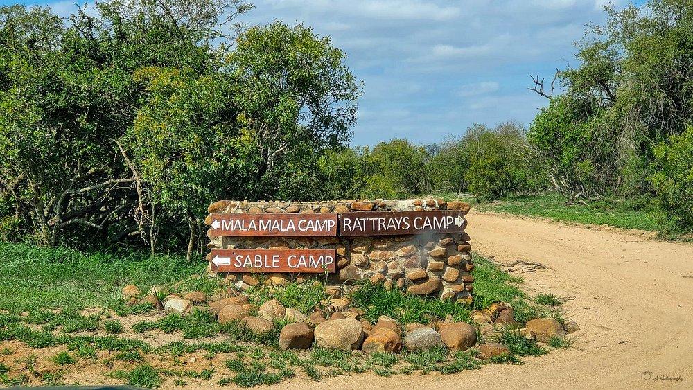 MalaMala Game Reserve