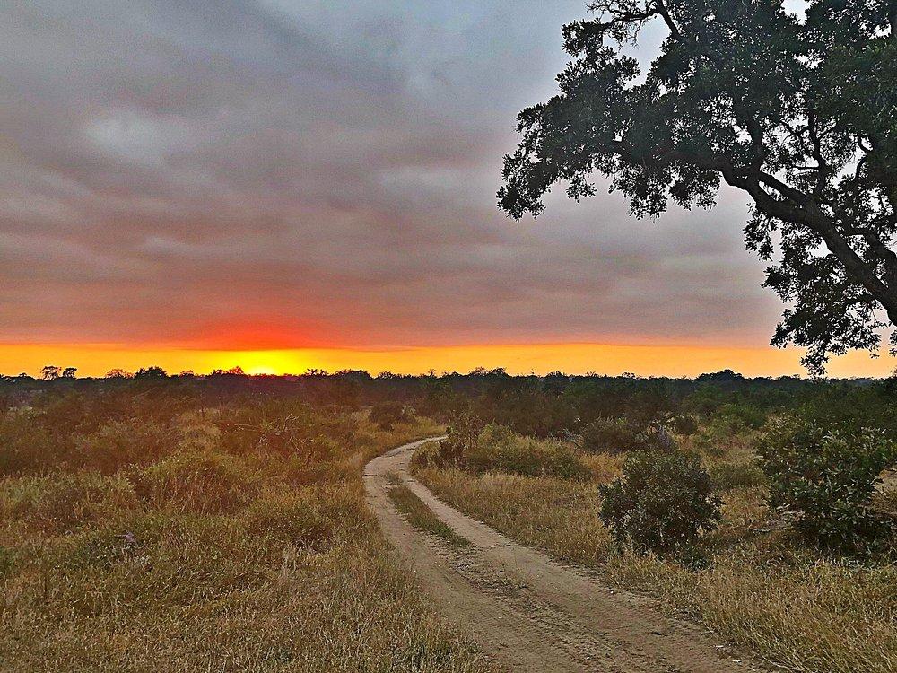 MalaMala Game Reserve