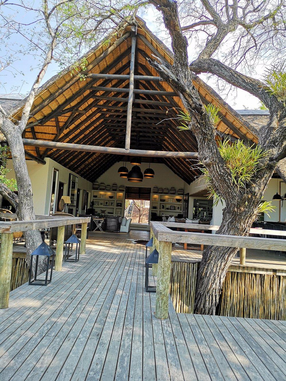 Londolozi Tree Camp