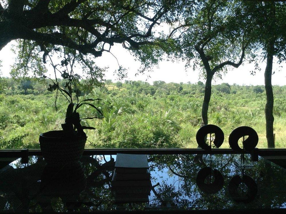 Londolozi Tree Camp