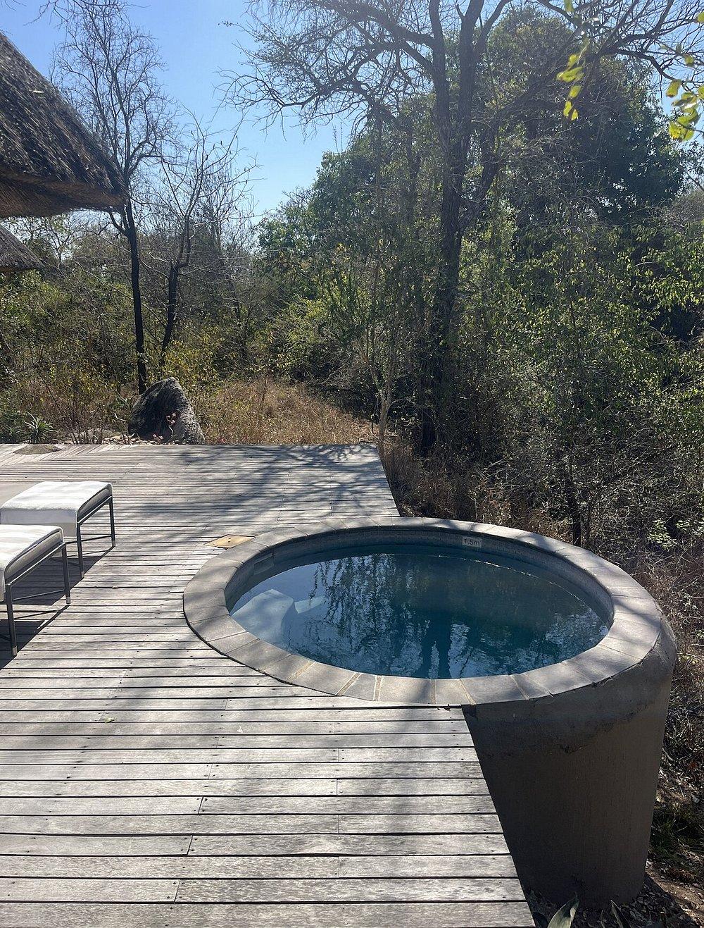 Londolozi Tree Camp