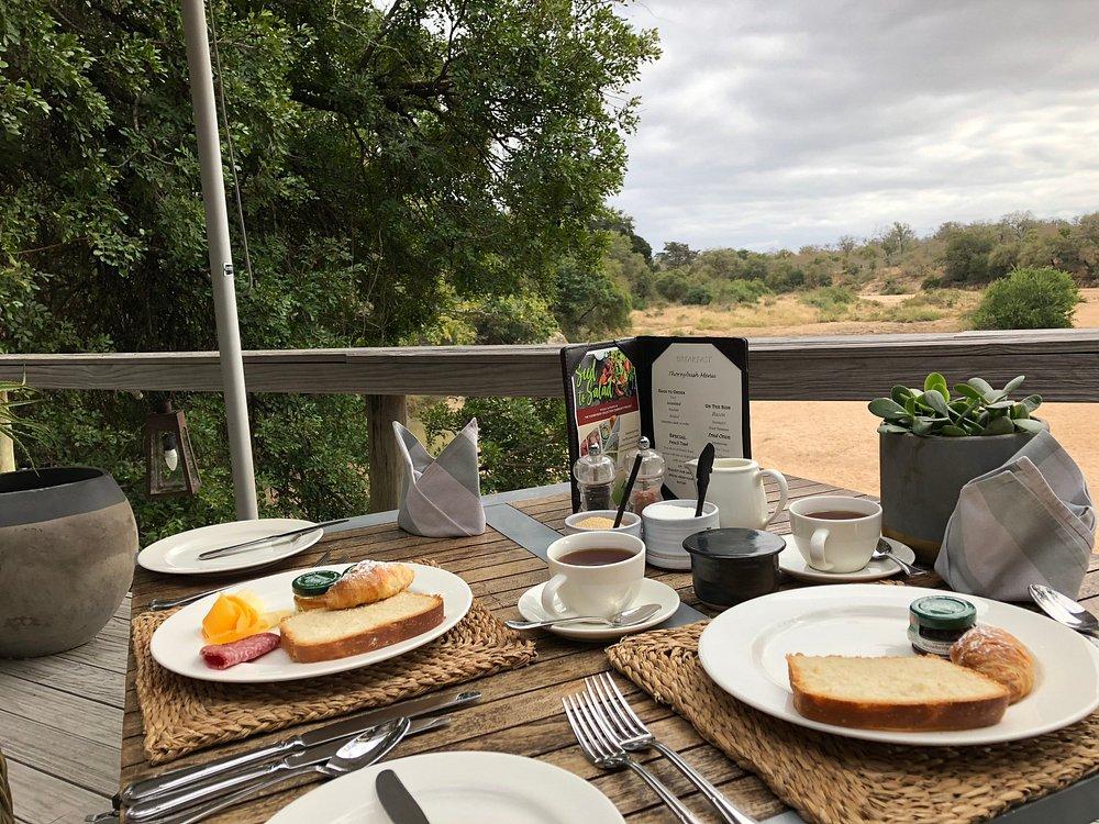 Thornybush Game Lodge