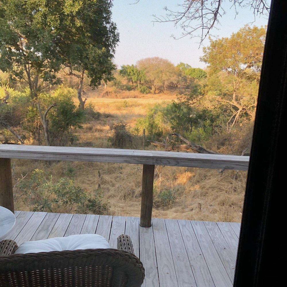 Thornybush Game Lodge