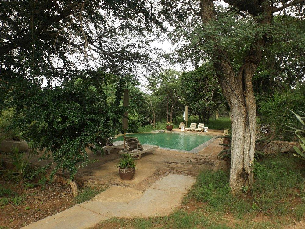 Thornybush Game Lodge