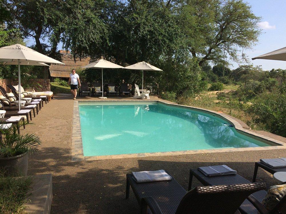 Thornybush Game Lodge