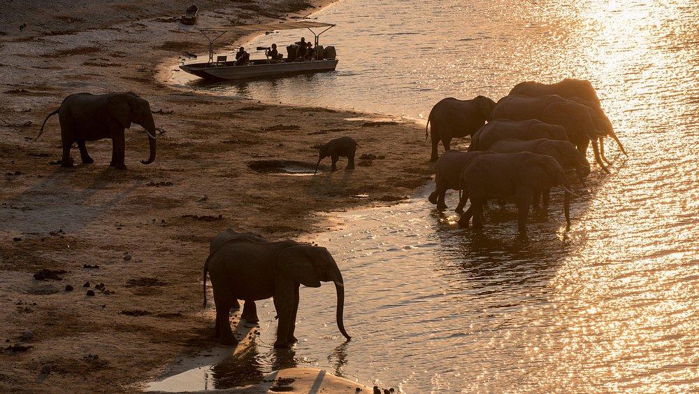 andBeyond Chobe Under Canvas