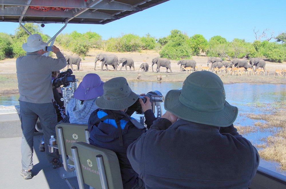 andBeyond Chobe Under Canvas