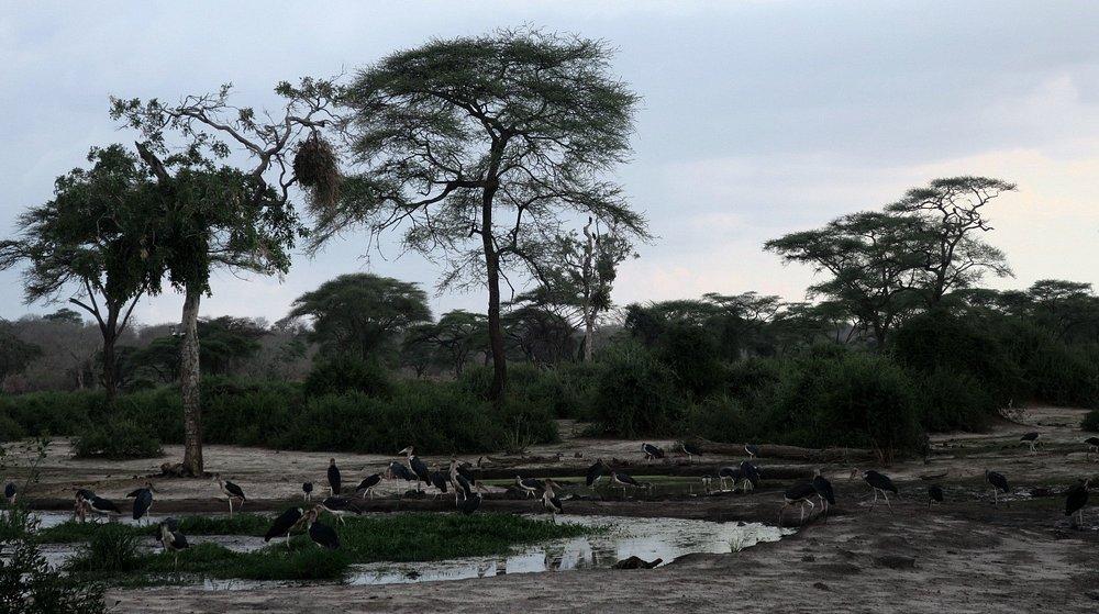 Elephant Valley Lodge