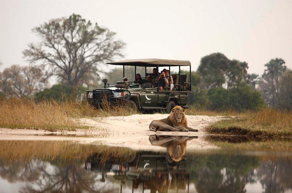 andBeyond Sandibe Okavango Safari Lodge