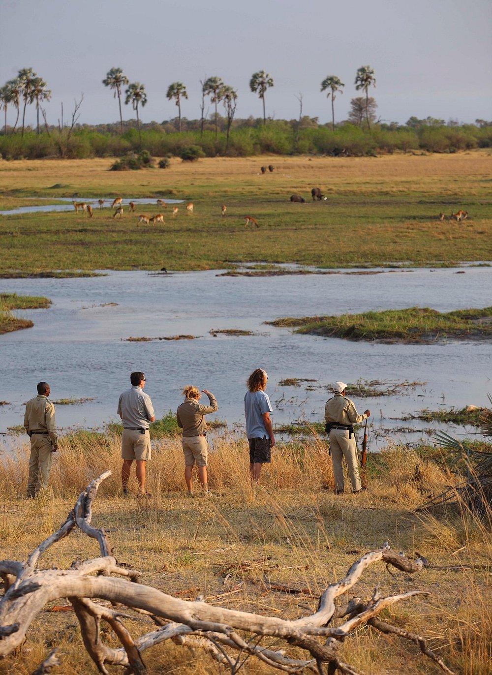 andBeyond Sandibe Okavango Safari Lodge