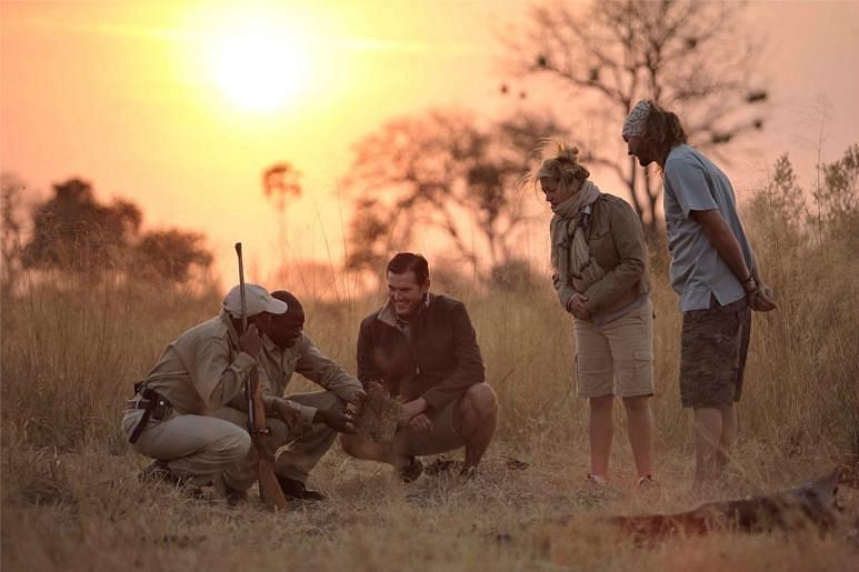 andBeyond Sandibe Okavango Safari Lodge