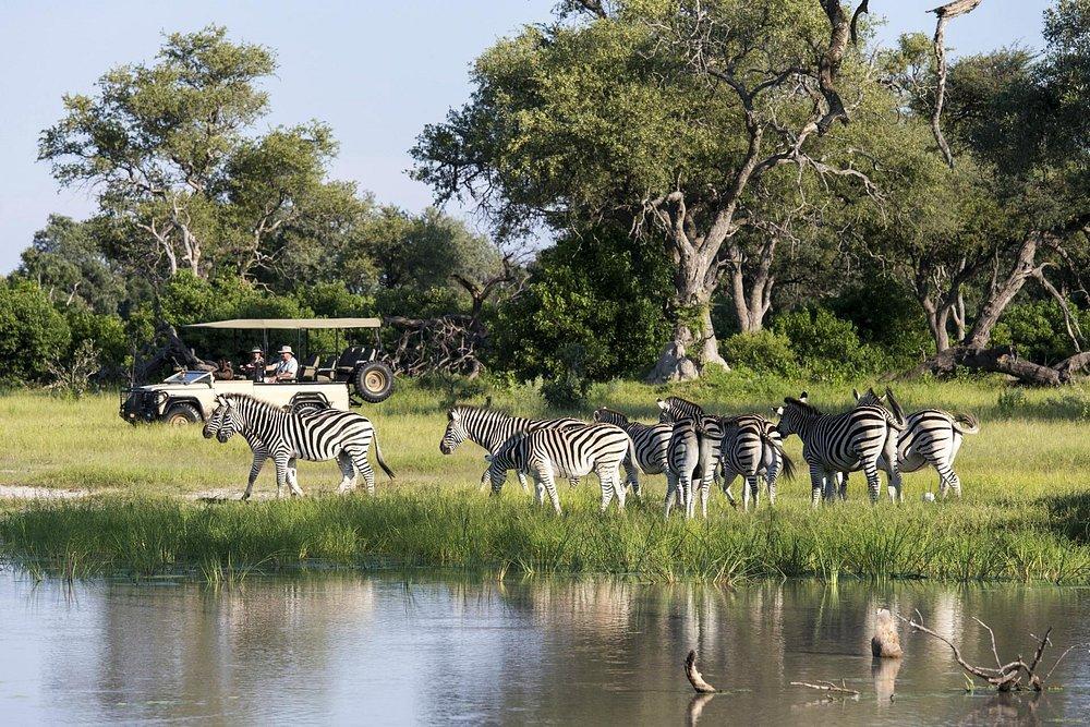 Vumbura Plains