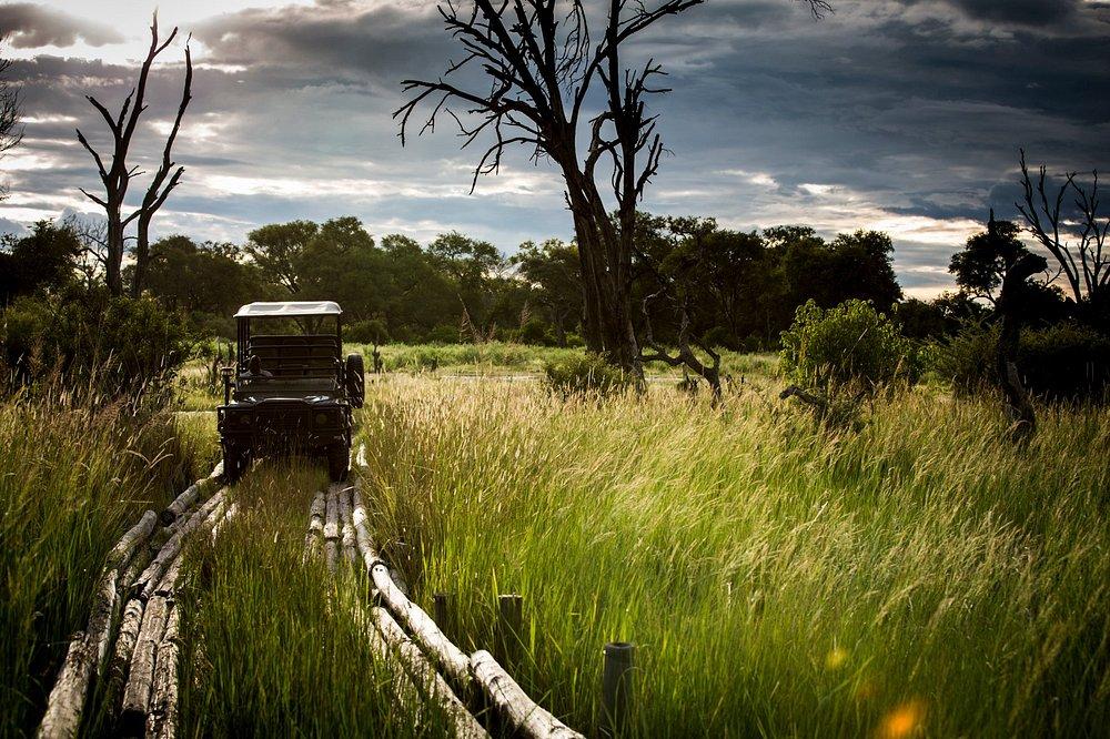 Vumbura Plains