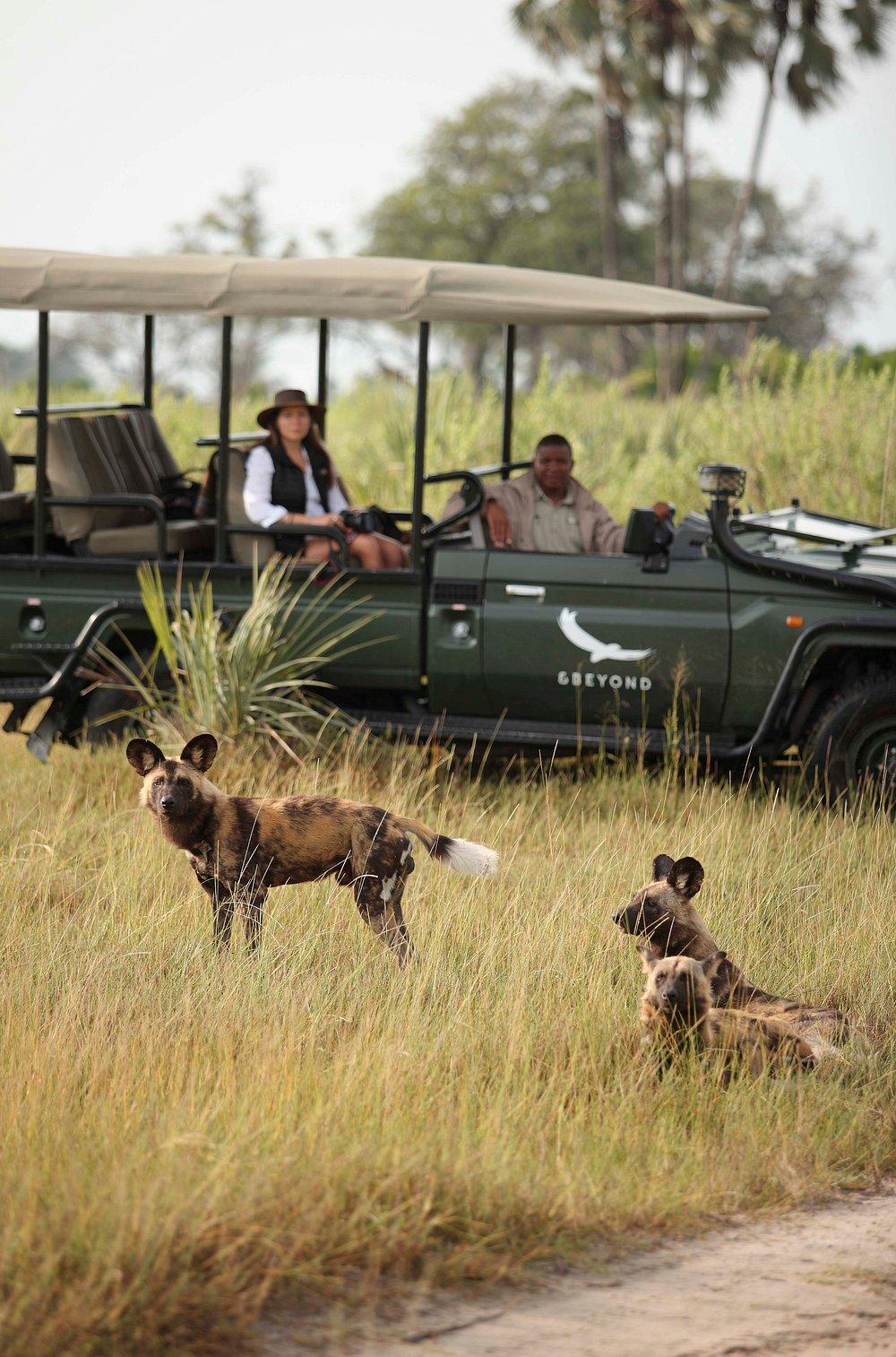 Nxabega Okavango Tented Camp