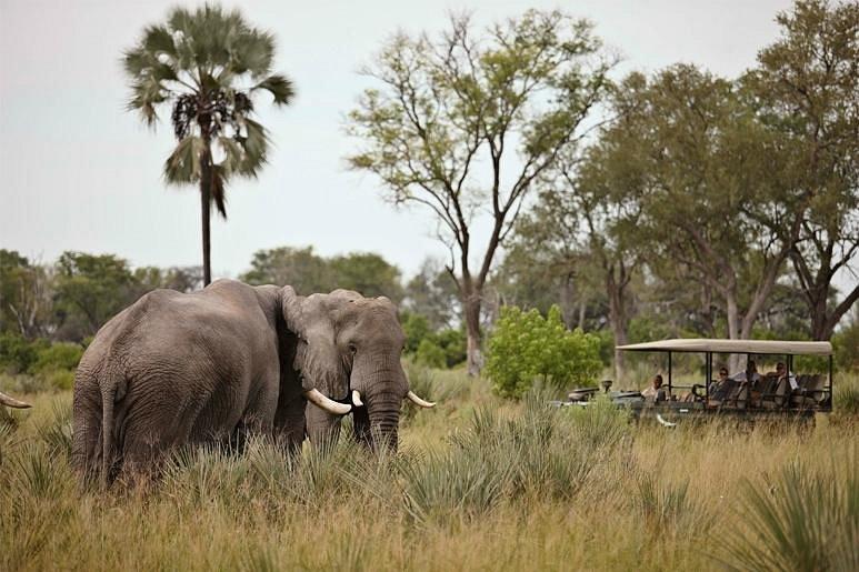 Nxabega Okavango Tented Camp
