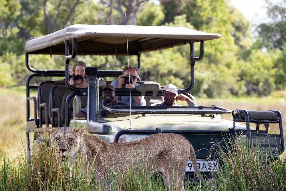 Kwando Lagoon Camp