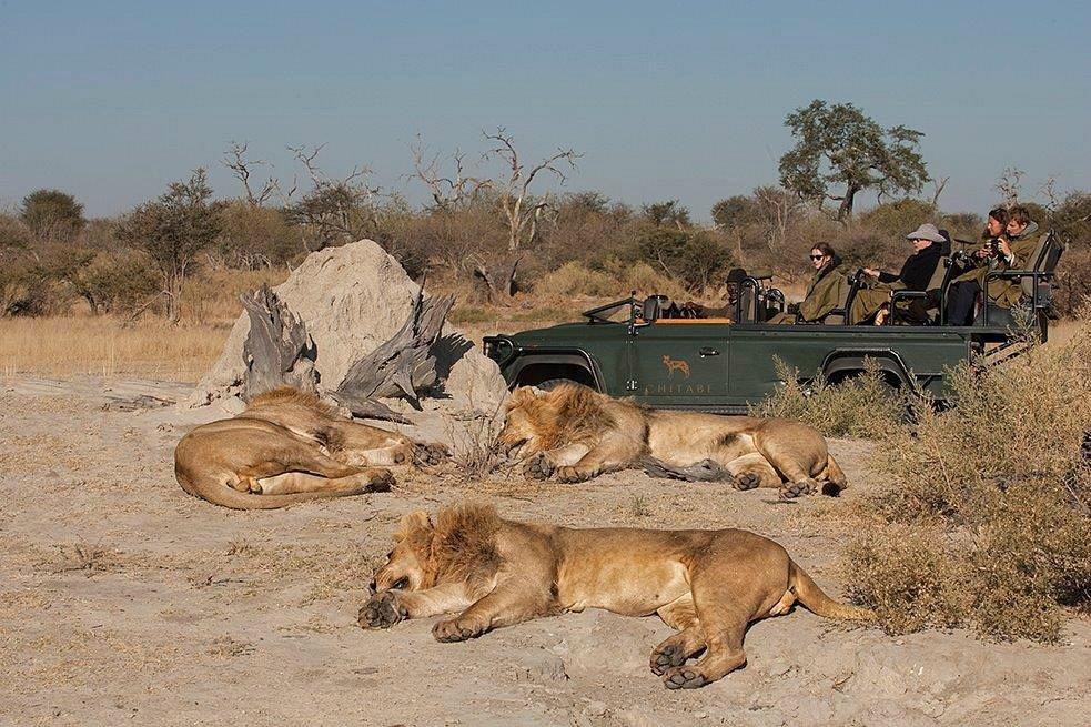 Wilderness Safaris Chitabe Camp