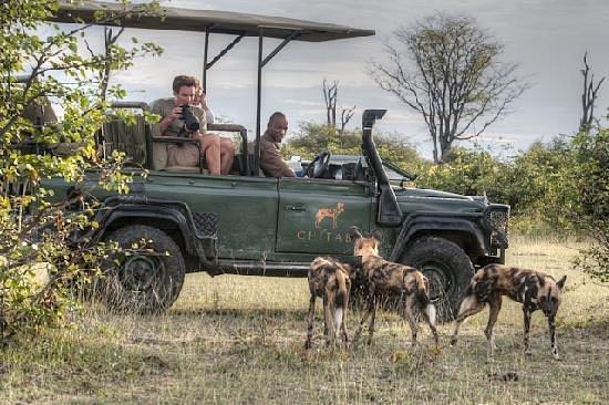 Wilderness Safaris Chitabe Camp