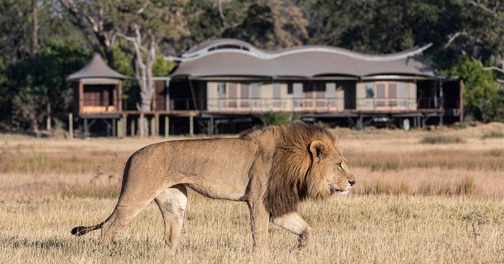 Xigera Safari Lodge