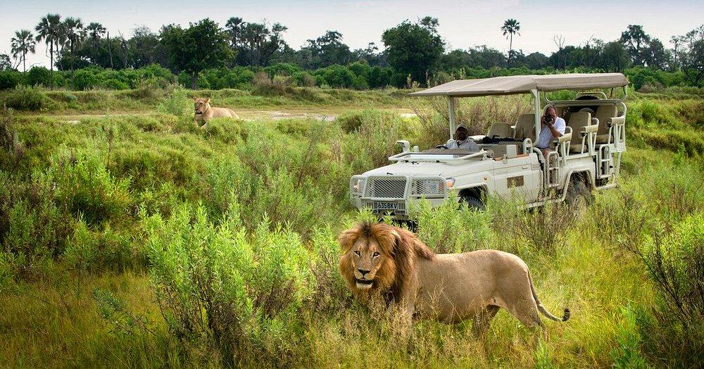 Xigera Safari Lodge