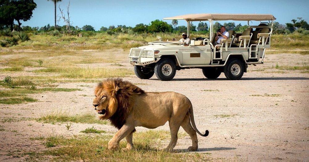 Xigera Safari Lodge