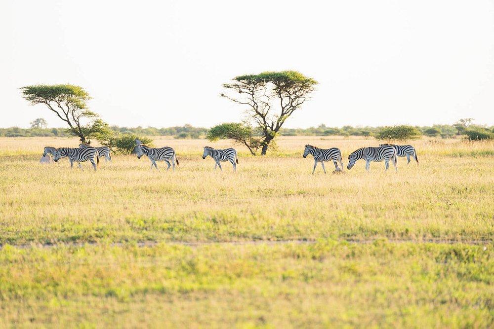 Nxai Pan Camp
