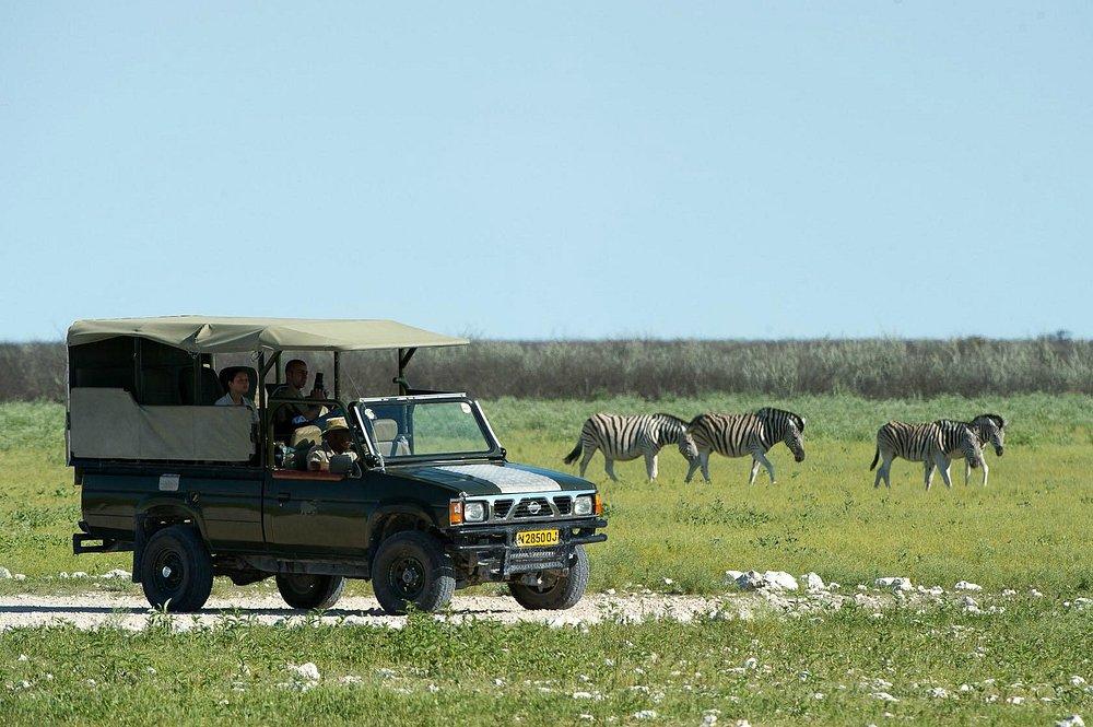 Andersson's at Ongava