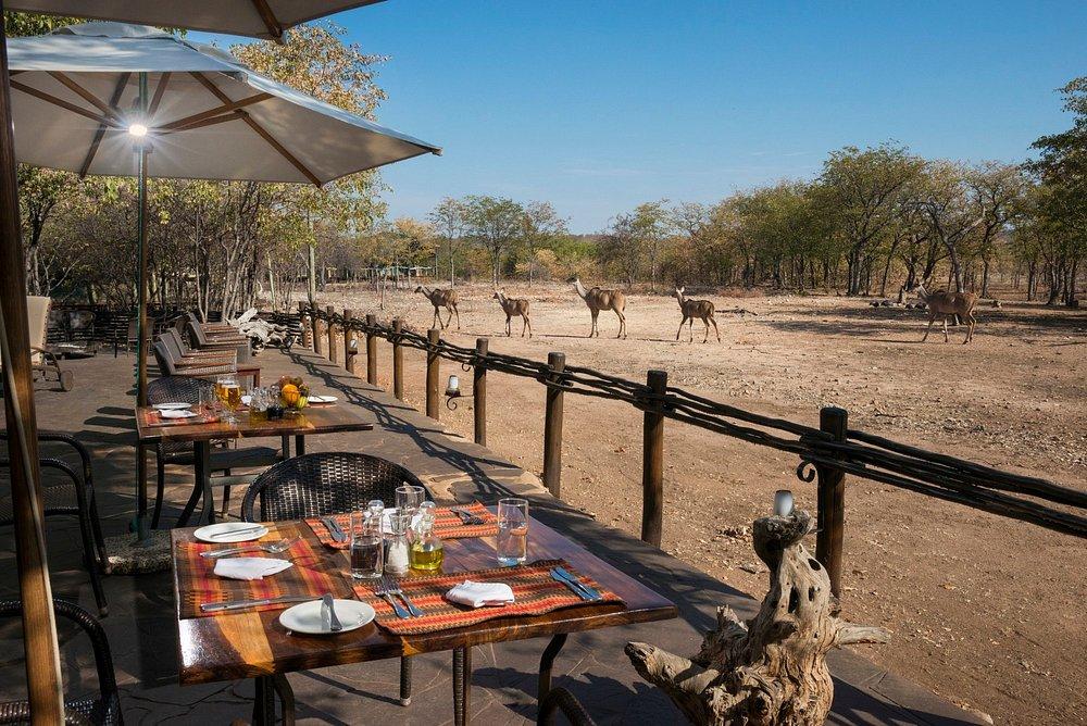 Ongava Tented Camp
