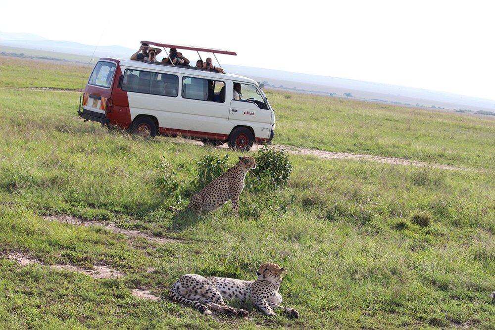 Sentrim Mara Camp