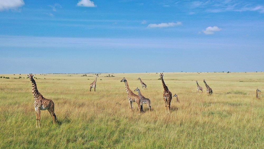 Sentrim Mara Camp