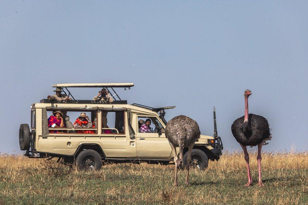 Sentrim Mara Camp
