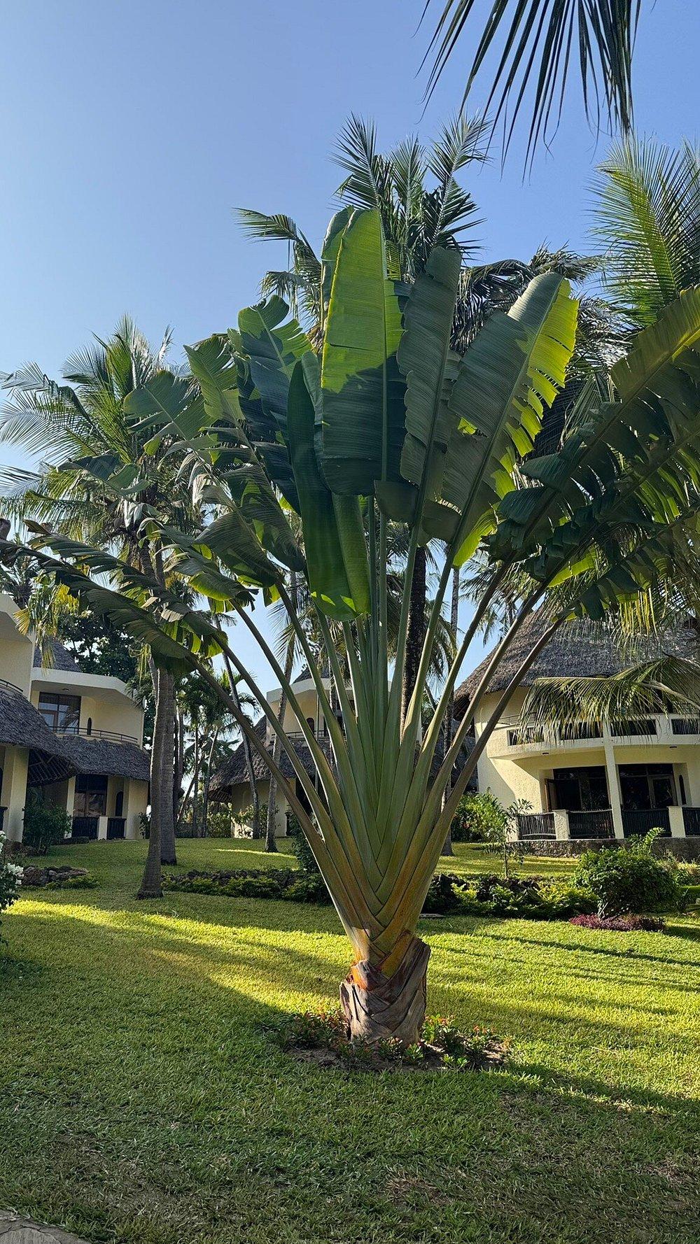 Severin Sea Lodge