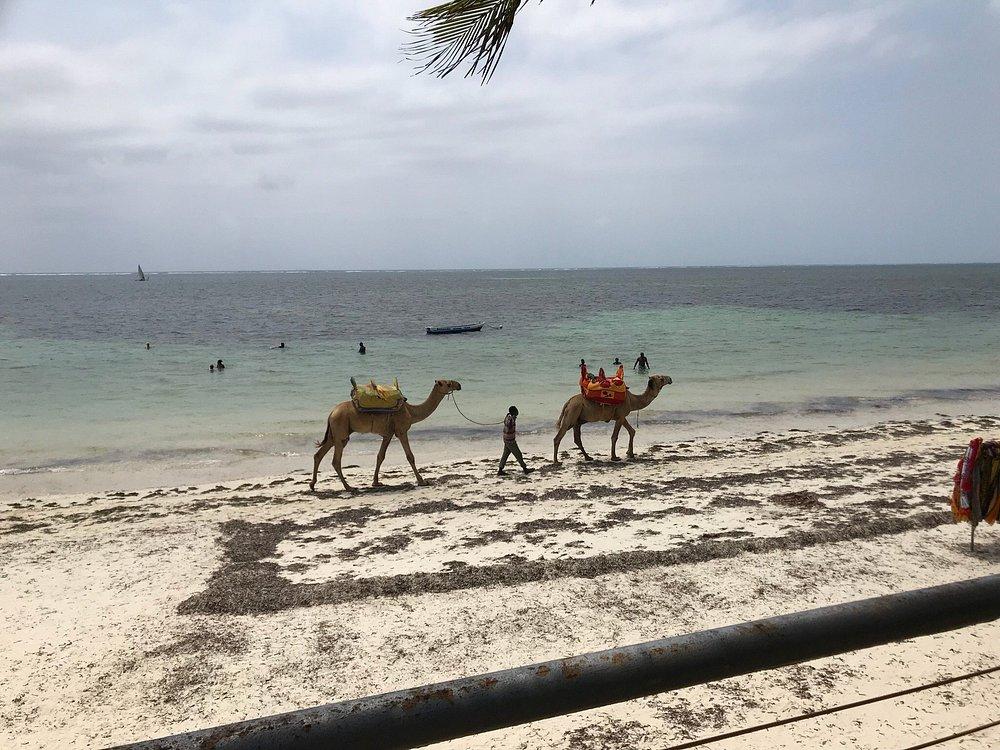 Neptune Beach Resort Mombasa
