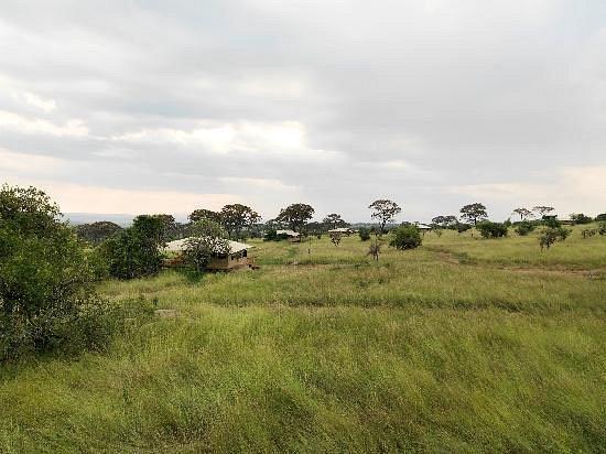 Serengeti Bushtops Camp
