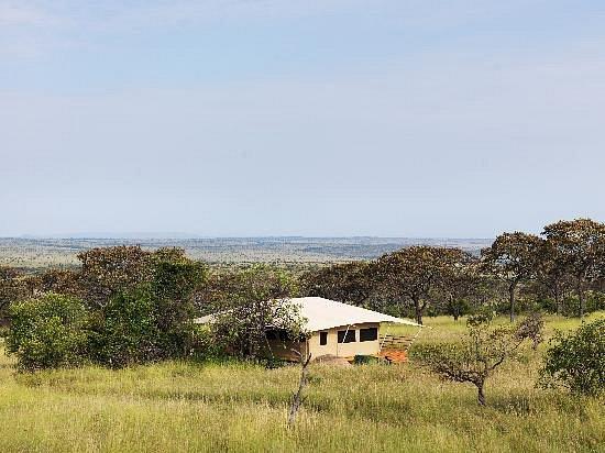 Serengeti Bushtops Camp